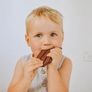 Jellystone Chocolate Bar Teether