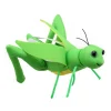 The Puppet Company Finger Puppet - Grasshopper