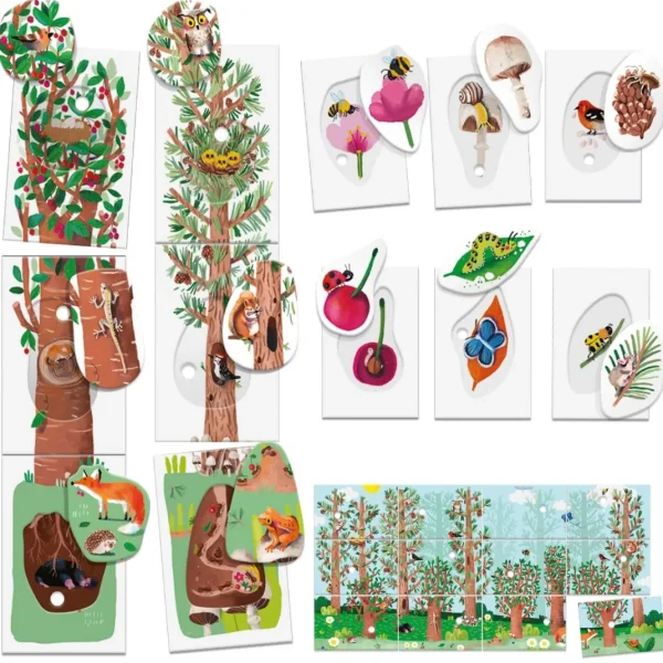 Headu Flashcards: My First Nature (Montessori)
