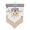 Little Linen Jersey Bib 2pk - Nectar Bear