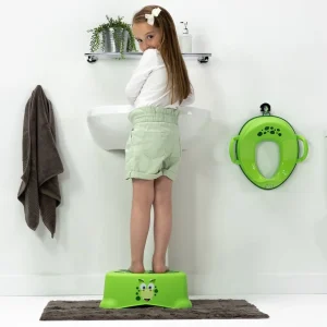 My Carry Potty My Little Step Stool Dinosaur