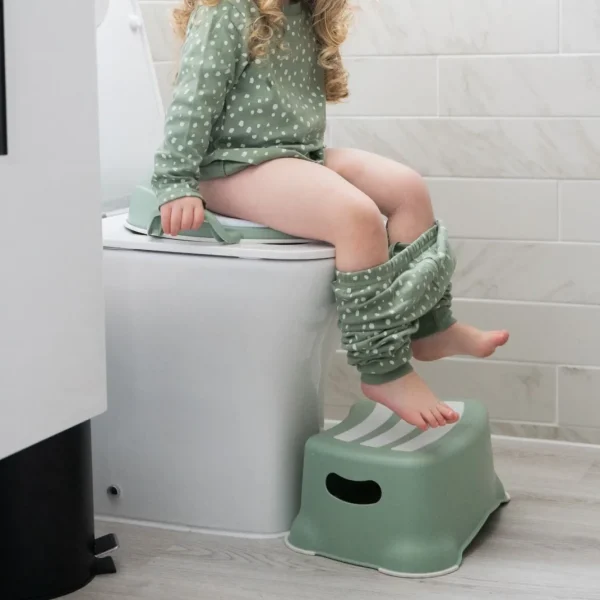 My Carry Potty My Little Trainer Seat - Sage Green