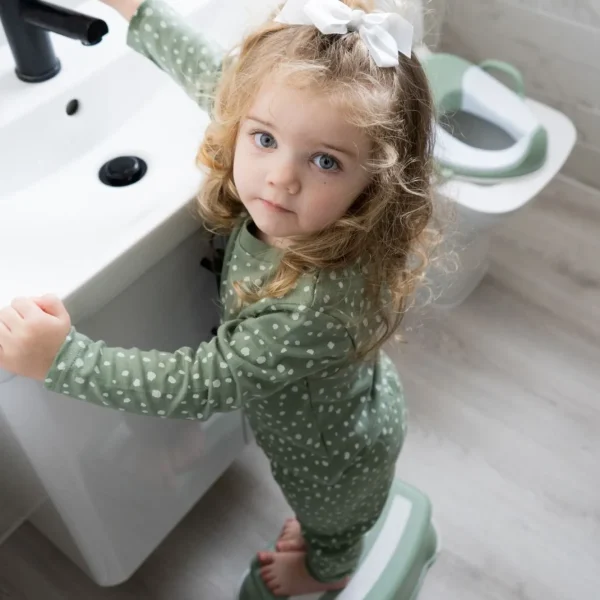 My Carry Potty My Little Trainer Seat - Sage Green