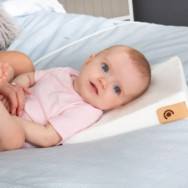Cuddle Co Organic Cotton 2Pk Support Pillow & Wedge